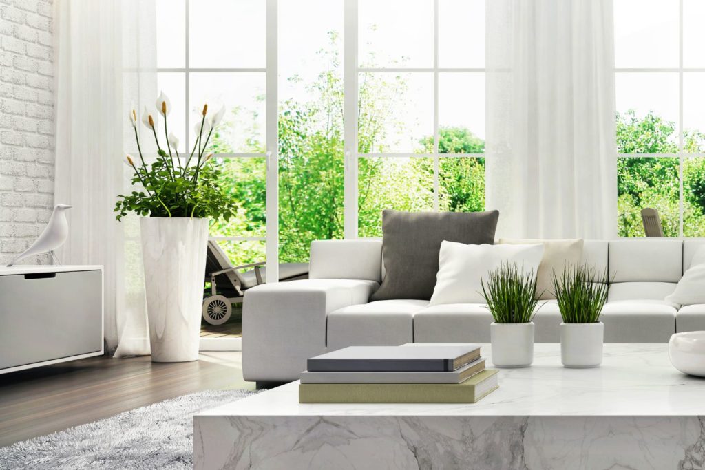 Modern Living Room with Plants